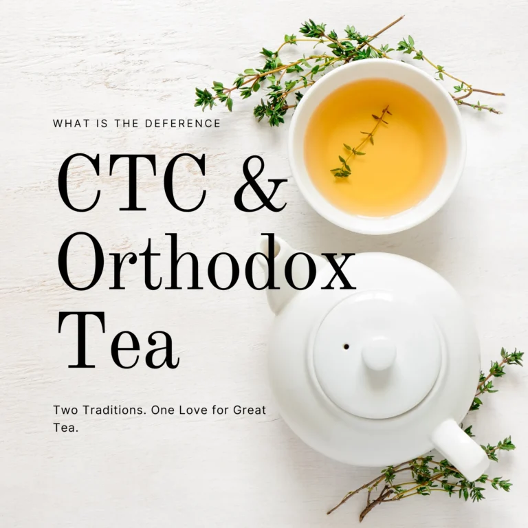 orthodox tea vs CTC